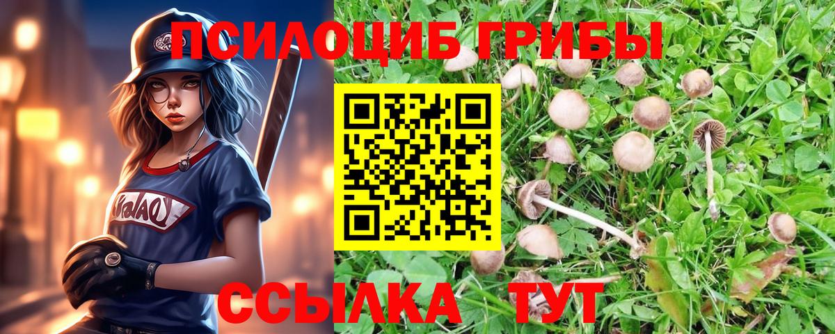 Псилоцибиновые грибы мицелий Россошь
